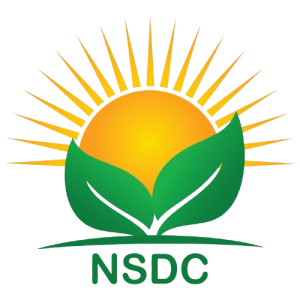 NSDC logo